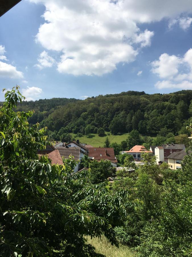 Appartement Haus Sonnenschein à Mespelbrunn Extérieur photo