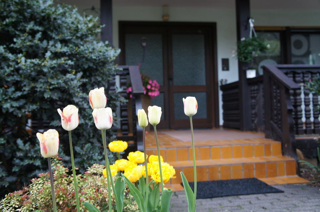 Appartement Haus Sonnenschein à Mespelbrunn Extérieur photo